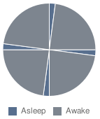 Dymaxion sleep cycle